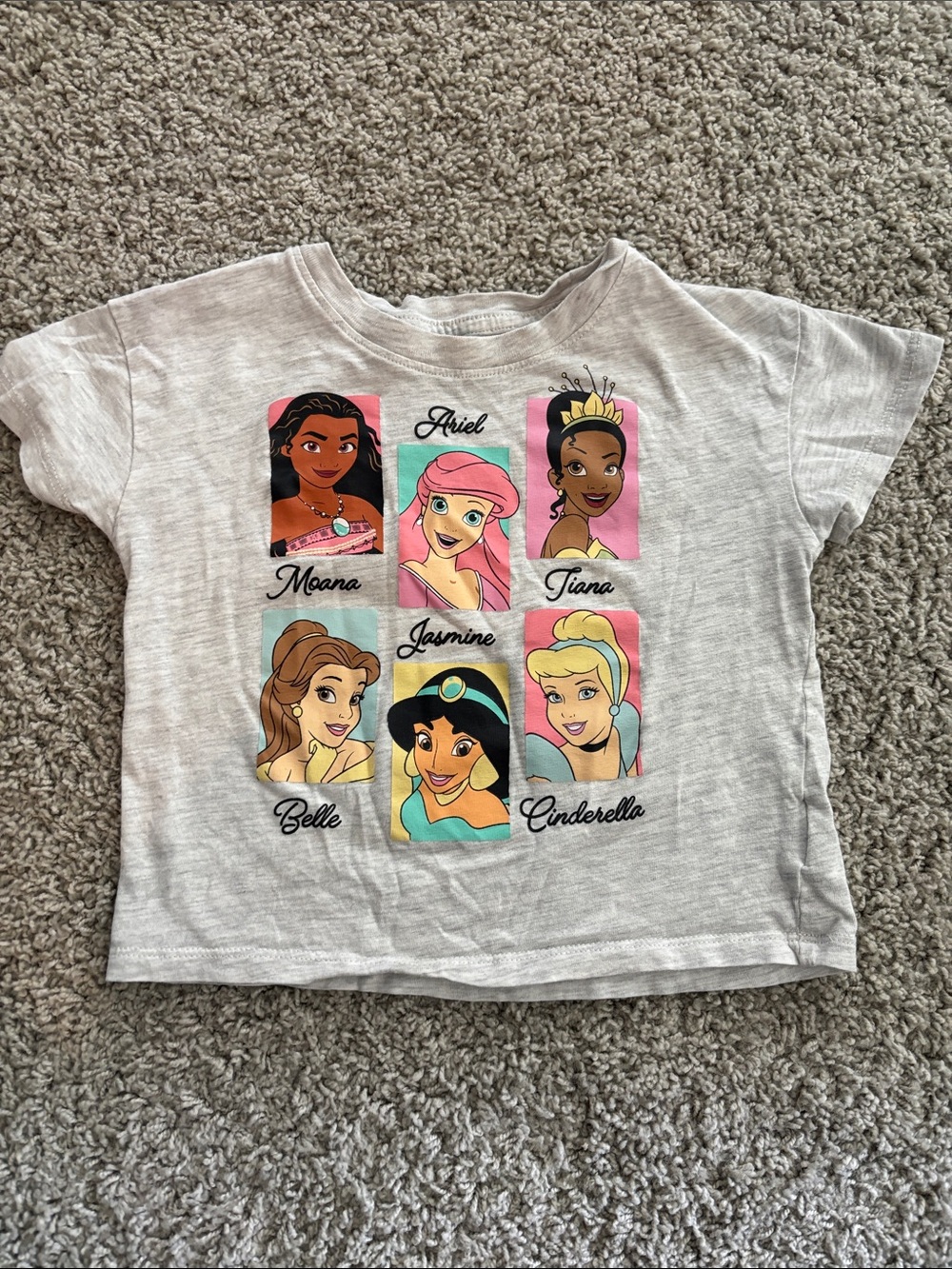 Disney Gray Tee with Colorful Princess Portraits